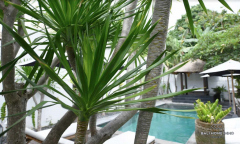 Image 2 from 3 Bedroom Villa For Rent in Batu Belig