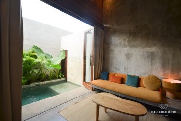 Image 3 from 1 Bedroom Apartment For Monthly Rental in Canggu