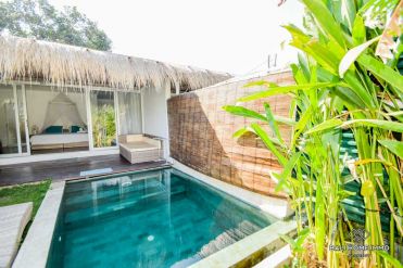 Image 1 from 1 Bedroom Villa For Yearly & Monthly Rental in North Canggu