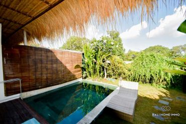 Image 2 from 1 Bedroom Villa For Yearly & Monthly Rental in North Canggu