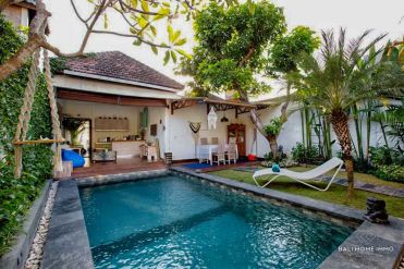Image 1 from 2 Bedroom Villa For Rent in Batu Belig