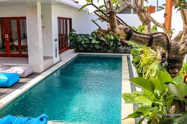 Image 3 from 3 Bedroom Villa For Monthly Rental in Berawa - Canggu