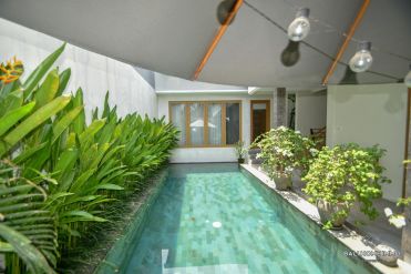 Image 1 from 3 Bedroom Villa For Yearly Rental in Pererenan