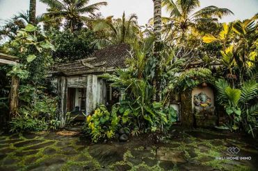 Image 1 from 3 Bedroom Villa For Yearly Rental in Ubud
