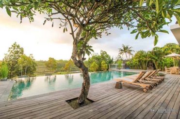 Image 2 from 3 Bedroom Villa with Ricefield View For Sale Freehold in Canggu