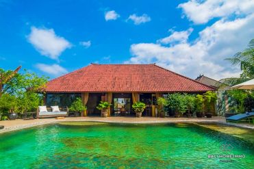 Image 1 from 4 Bedroom Villa For Yearly Rental in Canggu
