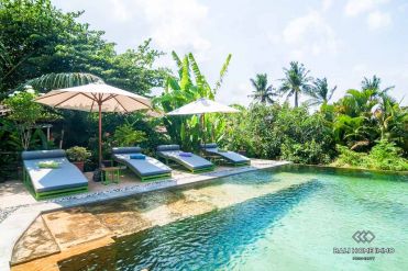 Image 2 from 4 Bedroom Villa For Yearly Rental in Canggu
