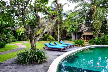 Image 3 from 5 Bedroom Villa For Yearly Rental in Canggu