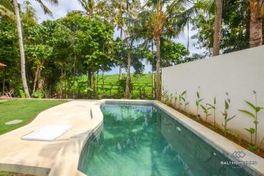Image 3 from 5 Bedroom Villa For Yearly Rental in Pererenan