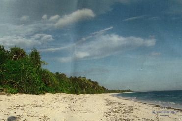 Image 1 from Beachfront Land For Sale Freehold in Sumba