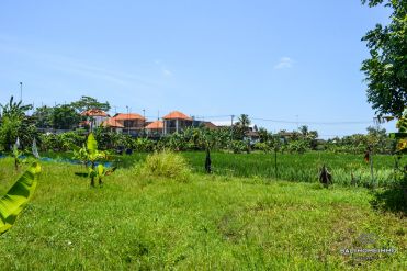 Image 3 from Land For Leasehold In Canggu