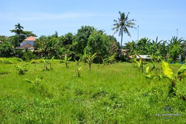 Image 1 from Land For Leasehold In Canggu