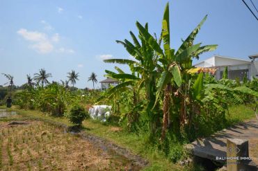 Image 2 from Land for sale freehold in Canggu - Kayu Tulang