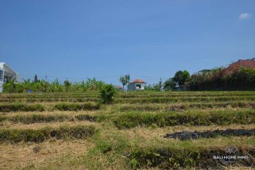 Image 1 from Land for sale freehold in Canggu - Kayu Tulang