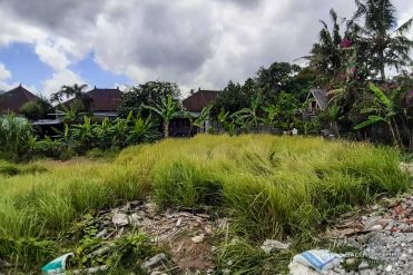 Image 1 from Land For Sale Freehold in Canggu
