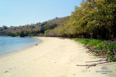Image 3 from Beachfront land for sale freehold in Sumbawa