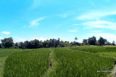 Image 2 from Land For Sale Freehold In Echo Beach, Canggu