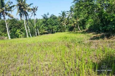 Image 3 from Land for sale freehold in Gianyar near Saba beach