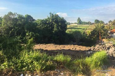 Image 2 from Land For Sale Freehold in North Canggu