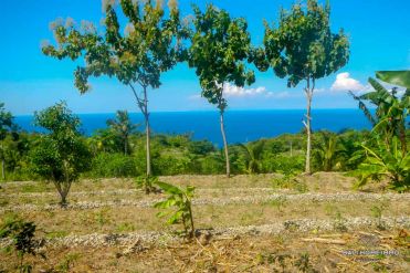 Image 1 from Land For Sale Freehold in Nusa Penida Island