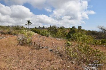 Image 3 from Land for sale freehold in Nusa Penida Island