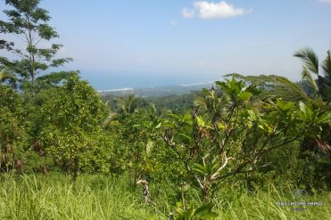 Image 1 from Terrain avec vue sur l'océan à vendre en pleine propriété à Selemadeg, Tabanan