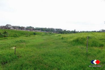 Image 1 from Land for sale freehold in Tanah lot
