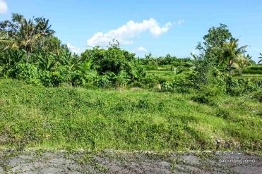 Image 1 from Land for sale freehold in Tanah Lot - Cemagi