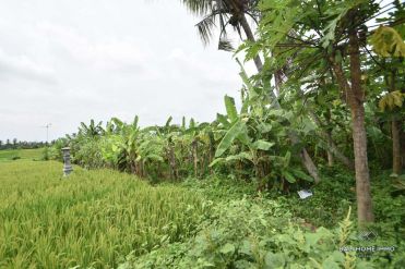 Image 1 from Land for sale freehold in Tanah lot