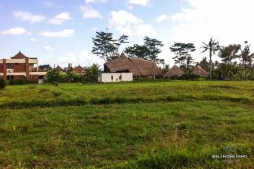 Image 2 from Land for sale freehold in Ubud