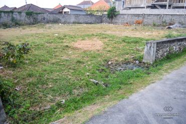 Image 3 from Land for Sale Freehold in Umalas