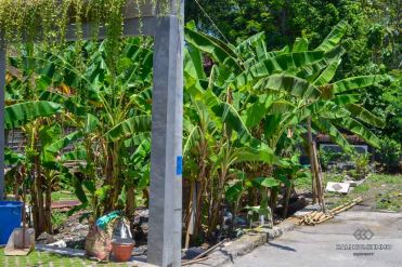 Image 2 from Land For Sale Leasehold In Babakan - Canggu