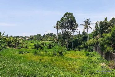 Image 1 from Land For Sale Leasehold In Babakan - North Canggu