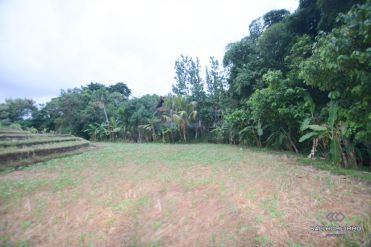 Image 2 from Tanah Dikontrakkan di Batu Bolong