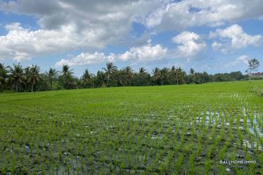 Image 2 from Land For Sale Leasehold in Buwit - North Canggu
