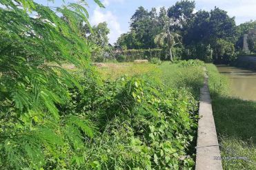 Image 1 from Land For Sale Leasehold in Canggu - Berawa