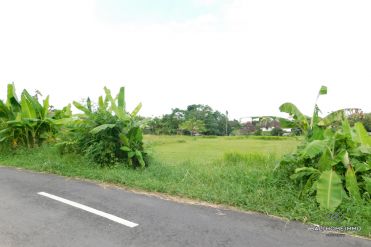 Image 3 from Land for Sale Leasehold in Canggu Residential Area