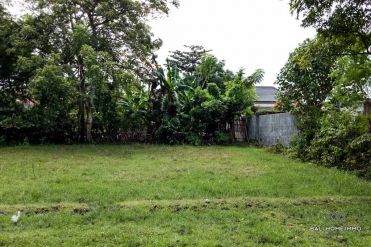 Image 1 from Land for sale leasehold in Kertalangu