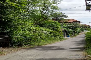 Image 3 from Land for sale leasehold in Kertalangu
