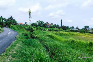 Image 1 from Land For Sale Leasehold in North Canggu - Babakan