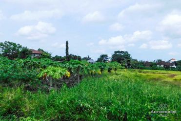 Image 3 from Land For Sale Leasehold in North Canggu - Babakan