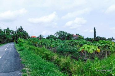 Image 2 from Land For Sale Leasehold in North Canggu - Babakan