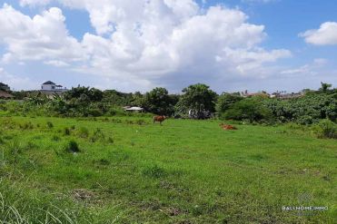 Image 1 from Land For Sale Leasehold in North Canggu