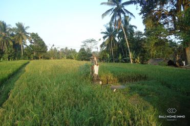 Image 2 from Land for Sale Leasehold in Tegalalang, Ubud