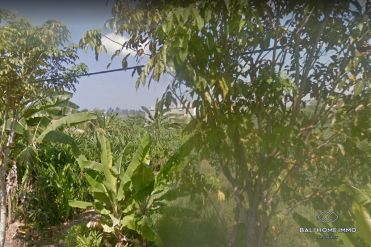 Image 2 from Land For Sale Leasehold In Tumbak Bayuh - North Pererenan