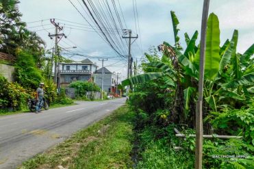 Image 3 from Land For Sale Leasehold Perfectly Located Batu bolong - Canggu
