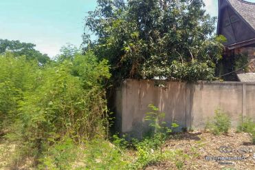 Image 2 from Land For Sale Leasehold Perfectly Located in Batu Bolong - Canggu