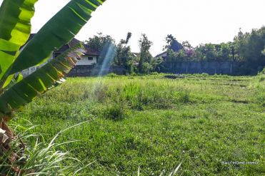 Image 1 from Land For Sale Leasehold Perfectly Located in Bumbak - Umalas
