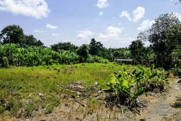 Image 1 from Land For Sale Leasehold Quiet Place in North Pererenan