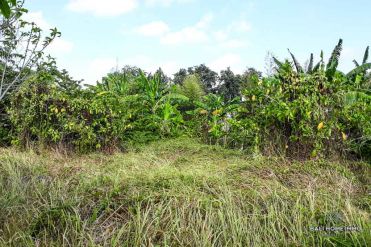 Image 2 from Land For Sale Leasehold in Umalas